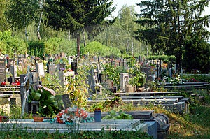Free Stock Photo - Graveyard
