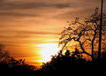 Stock Image: Red Sunset Picture. Image: 116941