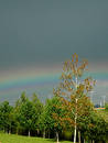 http://freethumbs.dreamstime.com/12/medium/free_120296.jpg
