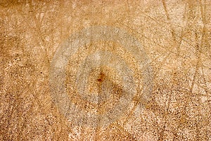 Tracks Free Stock Images