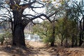 Stock Photography: Zim River 01 Picture. Image: 132442