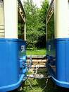 Blue tram cars