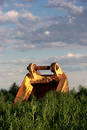 Lost backhoe shovel