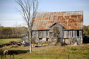 Old Farmyard