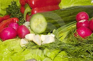 Stock Photography: Spring Vegetables Picture. Image: 1835362