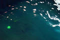 some