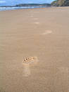 Footprints in the sand