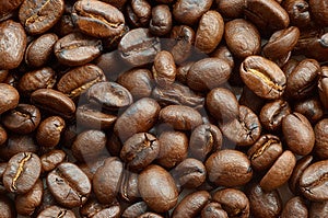 Stock Photos: Coffee beans texture. Image: 1931863