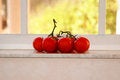 Tomatoes in window