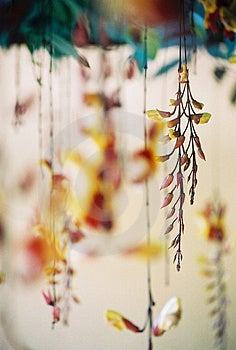 Hanging Stock Photos