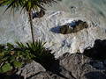 Tulum Beach #2