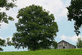 Barn On Top