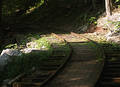 Logging Track