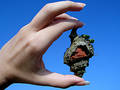 Hermit crab