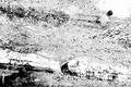 Abstract 2