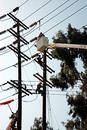 4 men working on pole