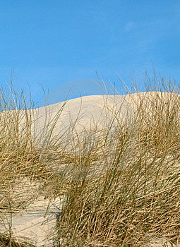 Free Stock Images: Dunes On The Island Picture. Image: 225709