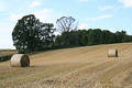 Harvest