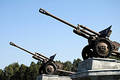 Cannon