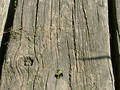 Wooden Beam