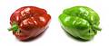 Peppers
