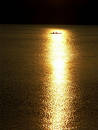 In the sunset rays