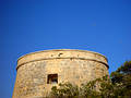 Old Spanish Tower With Birds