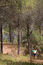 Young mother carrying her son and walking through woods