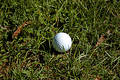 Ball in the Rough
