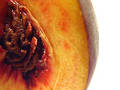 Peach Collection 9