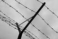 Barbed wire fence