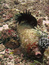 Scuba tank