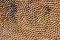 Rock Pattern