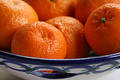 Oranges is ceramic dish