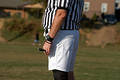 Referee 2