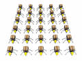 Lots Of Ants Workers