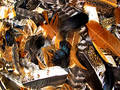 Texture....5