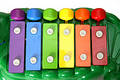 Kid's xylophone alligator