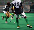 Hockey Player In Action