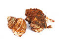 Crabs