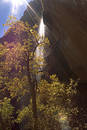 Autumn Waterfall