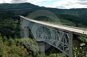 Bridge In The Forest Free Stock Photos