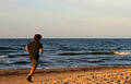 Shaggy beach runner