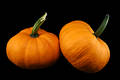 Squash 1