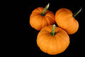 Squash 3