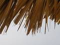Straw Sunshade Close-up