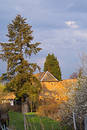 Peacefull landscape