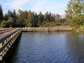 Lake Boardwalk