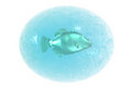 Fotografie Stock - Fish