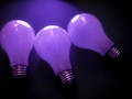Bulbs 3